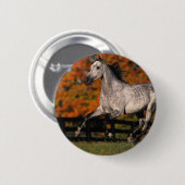 Badge Rond 5 Cm Cheval arabe : Automne 1 (Devant & derrière)