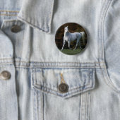 Badge Rond 5 Cm Cheval arabe courant 1 (En situation)