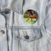 Badge Rond 5 Cm Cheval arabe courant 2 (En situation)