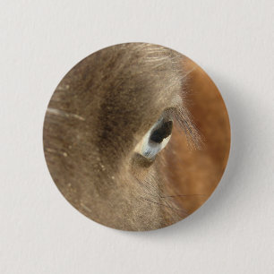 Badge Rond 5 Cm Cheval bleu
