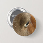 Badge Rond 5 Cm Cheval bleu (Devant & derrière)