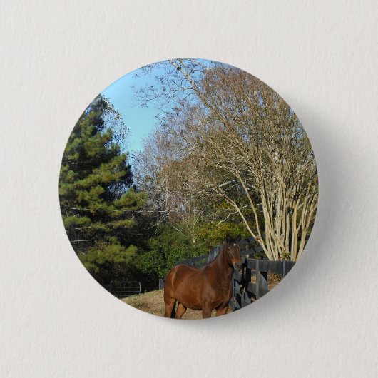 Badge Rond 5 Cm Cheval Brown contre une clôture (Devant)