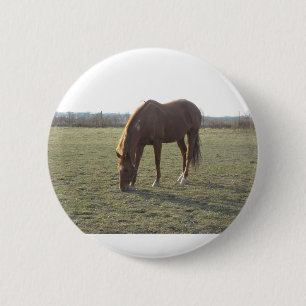 Badge Rond 5 Cm Cheval couleur châtaignier