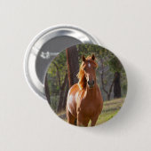 Badge Rond 5 Cm Cheval dans les bois (Devant & derrière)
