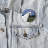 Badge Rond 5 Cm Cheval d'Appaloosa (En situation)