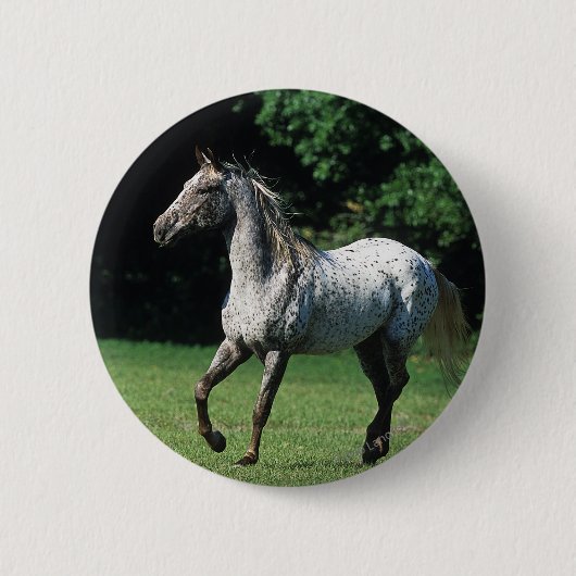 Badge Rond 5 Cm Cheval d'Appaloosa courant 2 (Devant)