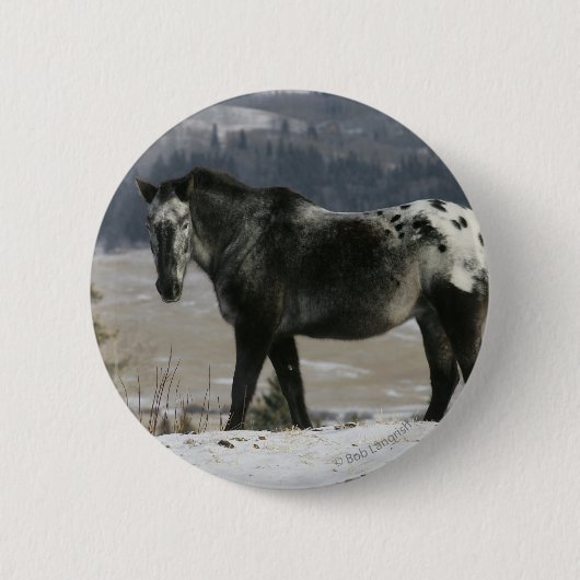 Badge Rond 5 Cm Cheval d'Appaloosa dans la neige (Devant)