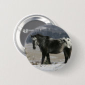 Badge Rond 5 Cm Cheval d'Appaloosa dans la neige (Devant & derrière)