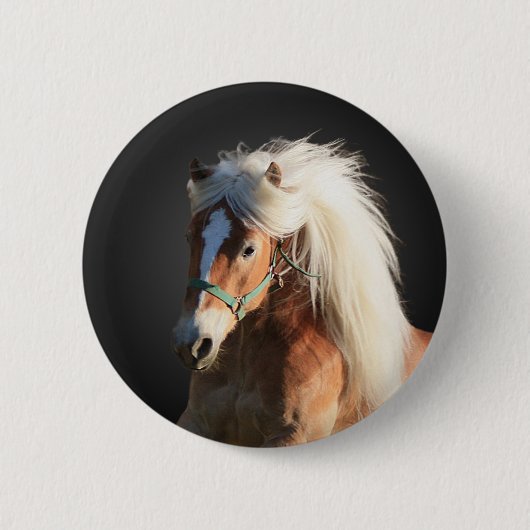 Badge Rond 5 Cm Cheval de Haflinger (Devant)