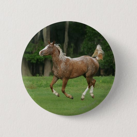 Badge Rond 5 Cm Cheval de l'Appaloosa (Devant)