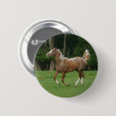 Badge Rond 5 Cm Cheval de l'Appaloosa (Devant & derrière)