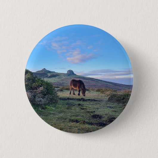 Badge Rond 5 Cm Cheval de pénis Dartmoor sauvage (Devant)