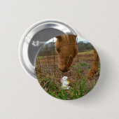 Badge Rond 5 Cm cheval et fleur de printemps Bunny (Devant & derrière)