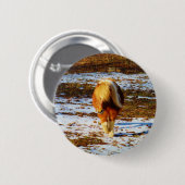Badge Rond 5 Cm Cheval miniature Brown et crème dans la neige. (Devant & derrière)