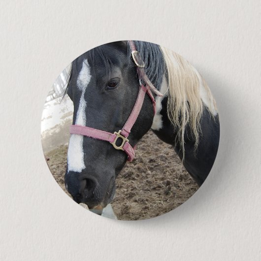 Badge Rond 5 Cm Cheval Paint Pinto (Devant)