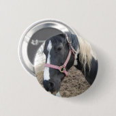 Badge Rond 5 Cm Cheval Paint Pinto (Devant & derrière)