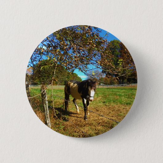 Badge Rond 5 Cm Cheval Peint, (Devant)