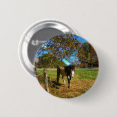 Badge Rond 5 Cm Cheval Peint, (Devant & derrière)