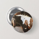 Badge Rond 5 Cm Cheval Pinto (Devant & derrière)