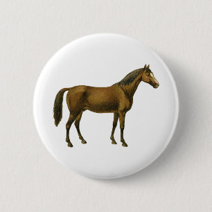 Badge Rond 5 Cm Cheval vintage