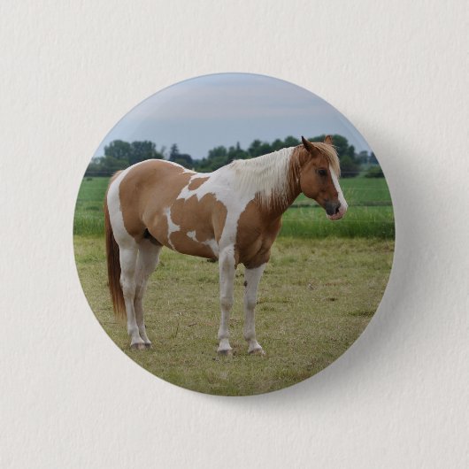 Badge Rond 5 Cm Chevaux (Devant)