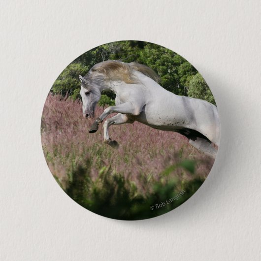 Badge Rond 5 Cm Chevaux de Imaginaire : Spring Gallop (Devant)