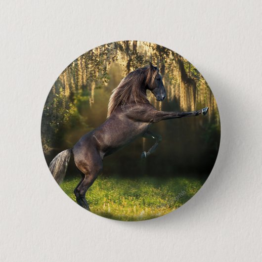 Badge Rond 5 Cm Chevaux d'imaginaire : Prince de guerrier (Devant)