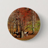 Badge Rond 5 Cm Chevaux jumeaux Brown et blancs (Devant)