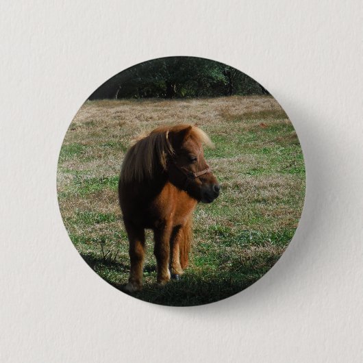 Badge Rond 5 Cm Chevaux miniatures Brown (Devant)