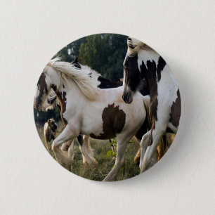 BADGE ROND 5 CM CHEVAUX NOIR ET BLANC 1.PNG