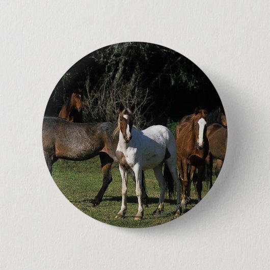Badge Rond 5 Cm Chevaux sauvages 1 de mustang (Devant)