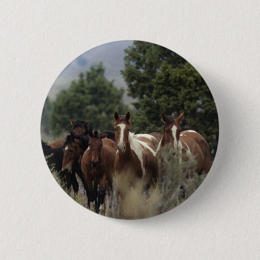 Badge Rond 5 Cm Chevaux sauvages 2 de mustang (Devant)
