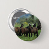 Badge Rond 5 Cm Chevaux sauvages 3 de mustang (Devant & derrière)