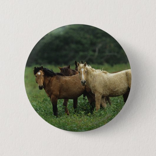 Badge Rond 5 Cm Chevaux sauvages 4 de mustang (Devant)