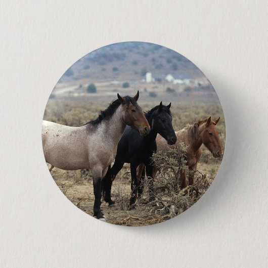 Badge Rond 5 Cm Chevaux sauvages 5 de mustang (Devant)