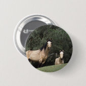 Badge Rond 5 Cm Chevaux sauvages 6 de mustang (Devant & derrière)