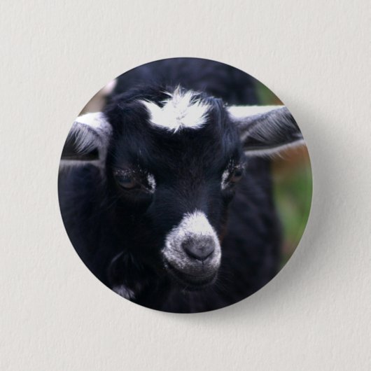 Badge Rond 5 Cm Chèvre de bébé (Devant)