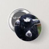 Badge Rond 5 Cm Chèvre de bébé (Devant & derrière)