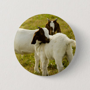 Badge Rond 5 Cm Chèvres Boer dans une prairie ensoleillée Ferme An
