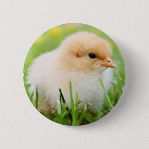 Badge Rond 5 Cm Chick