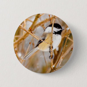 Badge Rond 5 Cm Chickadee au plafond noir - Photo originale