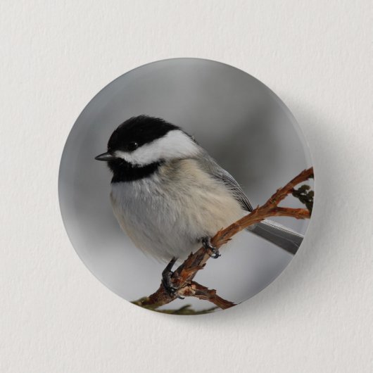 Badge Rond 5 Cm Chickadee du Maine (Devant)