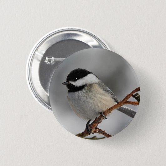 Badge Rond 5 Cm Chickadee du Maine (Devant & derrière)