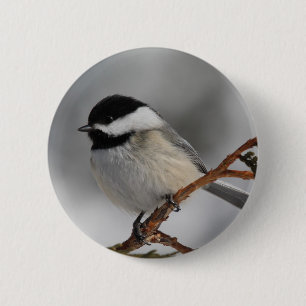 Badge Rond 5 Cm Chickadee du Maine