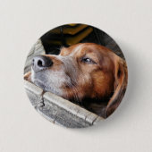 BADGE ROND 5 CM CHIEN (Devant)