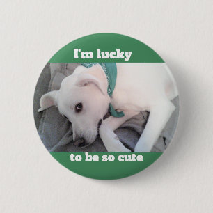 Badge Rond 5 Cm Chien blanc très chanceux portant un écusson vert