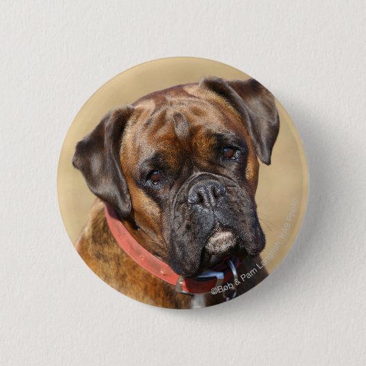 Badge Rond 5 Cm Chien Brindle de boxeur (Devant)