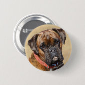 Badge Rond 5 Cm Chien Brindle de boxeur (Devant & derrière)