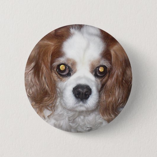 BADGE ROND 5 CM CHIEN CAVALIER D'ÉPAGNEUL DE ROI CHARLES (Devant)