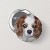 BADGE ROND 5 CM CHIEN CAVALIER D'ÉPAGNEUL DE ROI CHARLES (Devant & derrière)